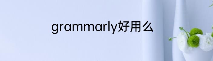 grammarly好用么
