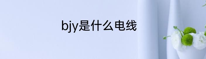 bjy是什么电线