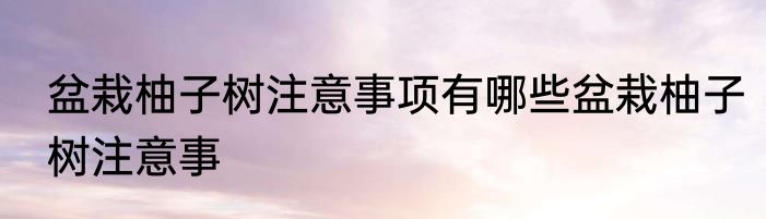 盆栽柚子树注意事项有哪些盆栽柚子树注意事
