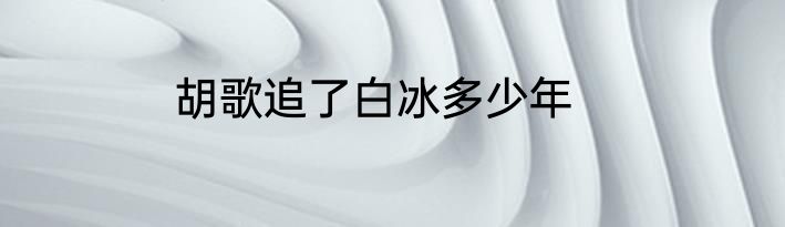 胡歌追了白冰多少年