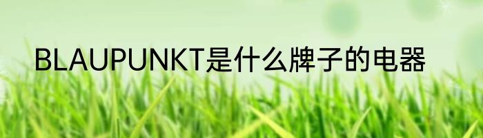 BLAUPUNKT是什么牌子的电器