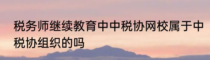 税务师继续教育中中税协网校属于中税协组织的吗