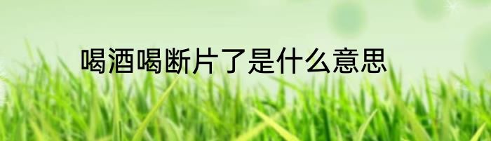 喝酒喝断片了是什么意思