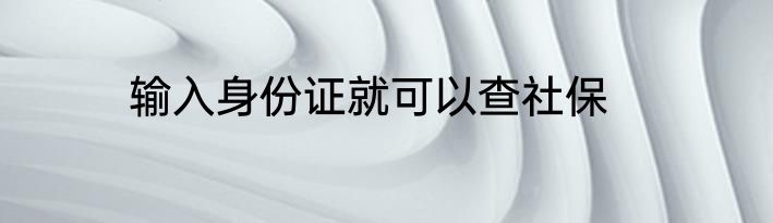 输入身份证就可以查社保