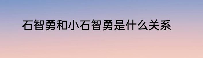 石智勇和小石智勇是什么关系