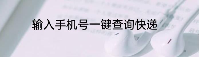 输入手机号一键查询快递