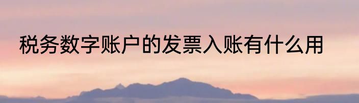 税务数字账户的发票入账有什么用