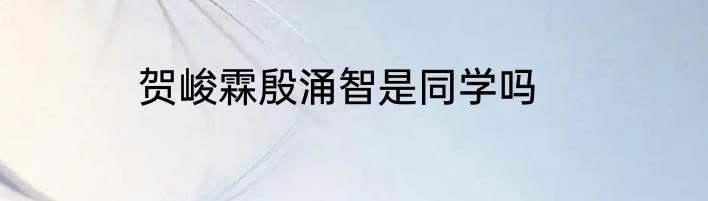 贺峻霖殷涌智是同学吗