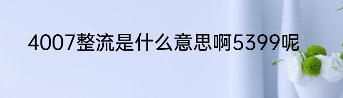 4007整流是什么意思啊5399呢
