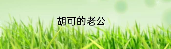 胡可的老公