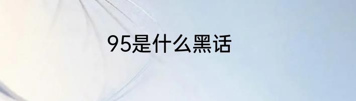 95是什么黑话