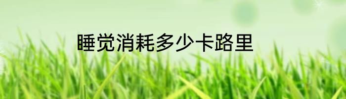 睡觉消耗多少卡路里