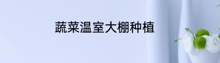 蔬菜温室大棚种植