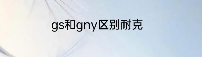 gs和gny区别耐克