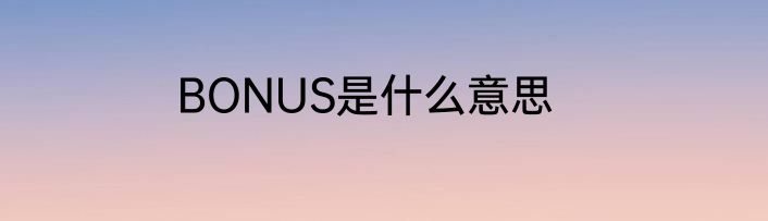 BONUS是什么意思