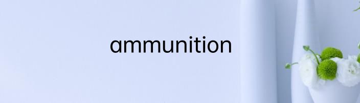 ammunition