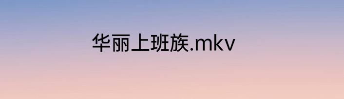 华丽上班族.mkv