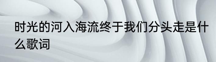 时光的河入海流终于我们分头走是什么歌词