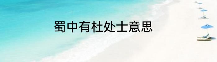 蜀中有杜处士意思