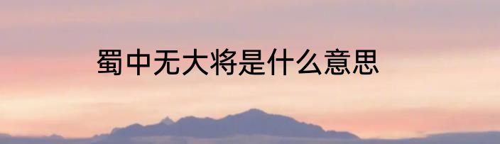 蜀中无大将是什么意思