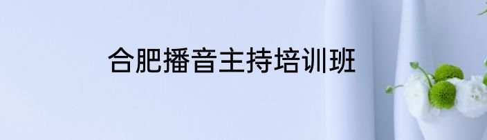 合肥播音主持培训班