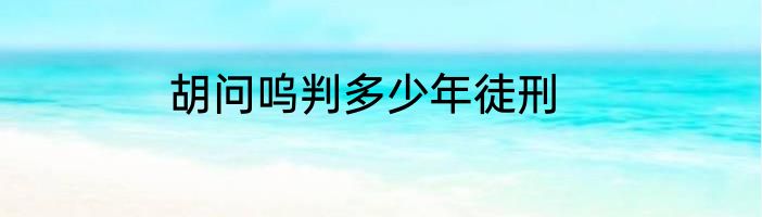 胡问呜判多少年徒刑