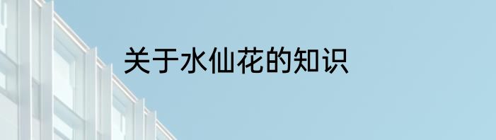 关于水仙花的知识