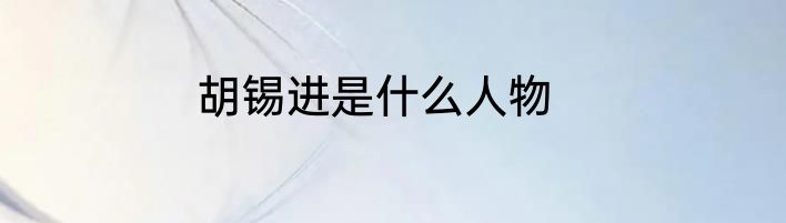 胡锡进是什么人物
