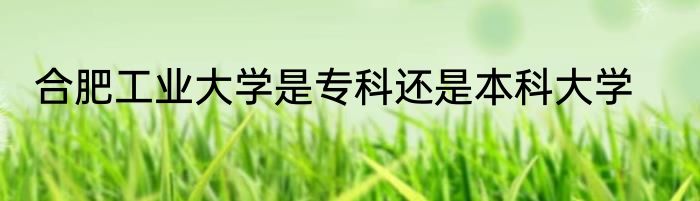 合肥工业大学是专科还是本科大学