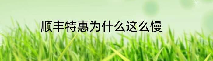 顺丰特惠为什么这么慢