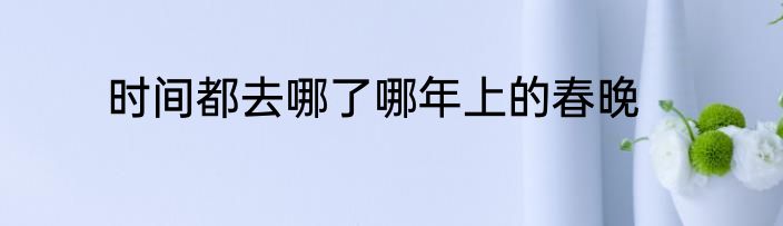 时间都去哪了哪年上的春晚