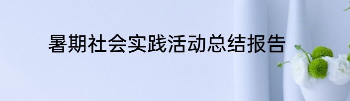 暑期社会实践活动总结报告