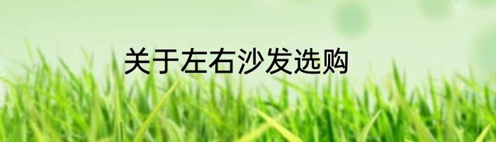 关于左右沙发选购