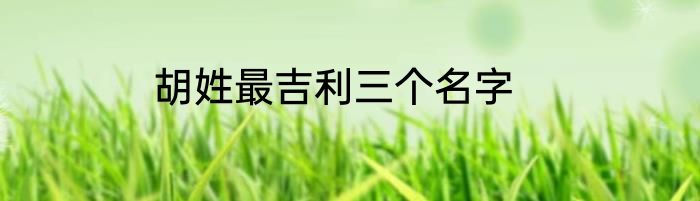 胡姓最吉利三个名字