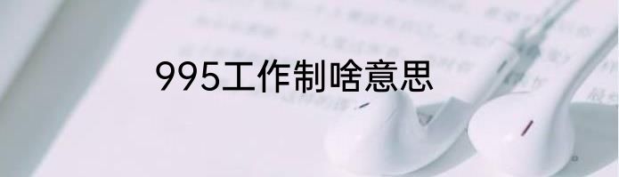 995工作制啥意思