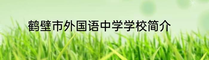 鹤壁市外国语中学学校简介
