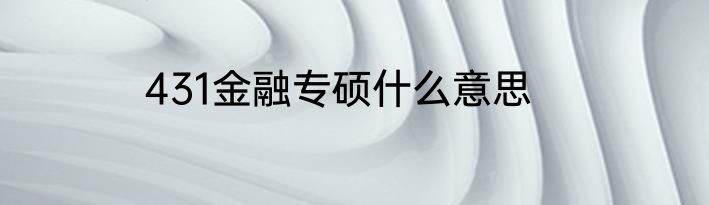 431金融专硕什么意思