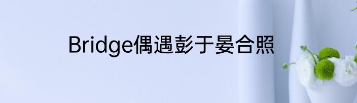 Bridge偶遇彭于晏合照