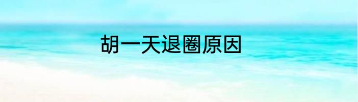 胡一天退圈原因