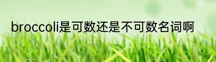 broccoli是可数还是不可数名词啊