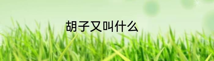 胡子又叫什么