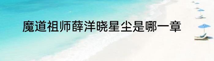 魔道祖师薛洋晓星尘是哪一章