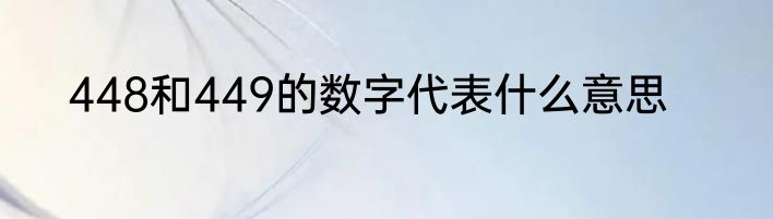 448和449的数字代表什么意思
