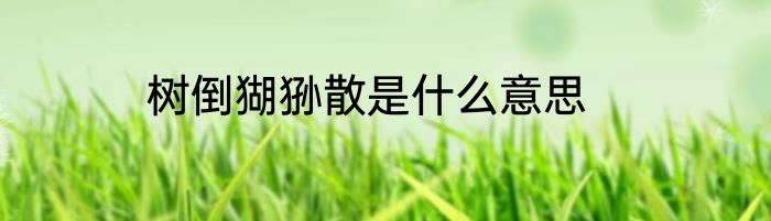 树倒猢狲散是什么意思