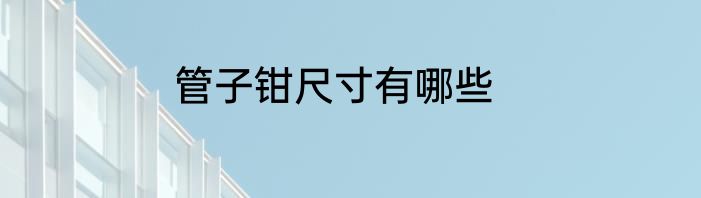 管子钳尺寸有哪些