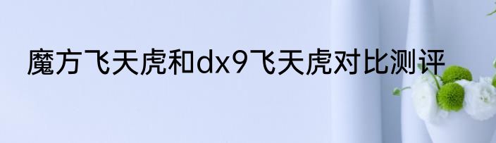 魔方飞天虎和dx9飞天虎对比测评