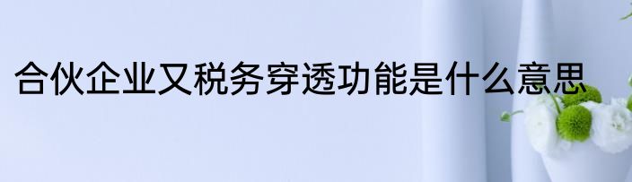 合伙企业又税务穿透功能是什么意思