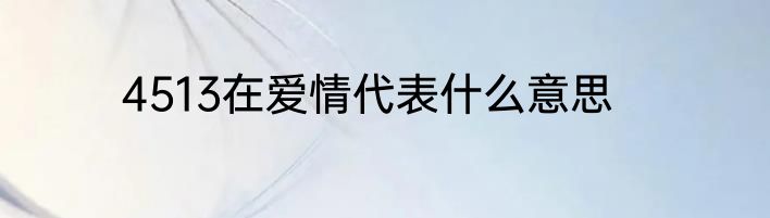 4513在爱情代表什么意思