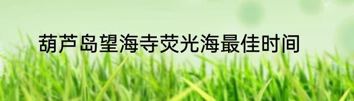 葫芦岛望海寺荧光海最佳时间