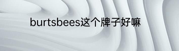 burtsbees这个牌子好嘛